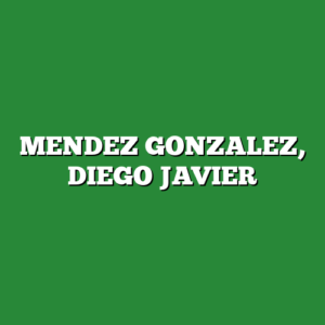 MENDEZ GONZALEZ, DIEGO JAVIER