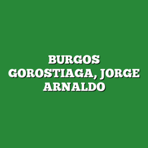 BURGOS GOROSTIAGA, JORGE ARNALDO