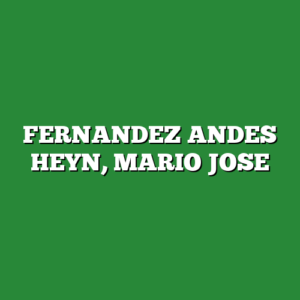 FERNANDEZ ANDES HEYN, MARIO JOSE