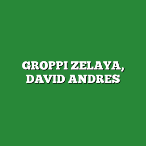 GROPPI ZELAYA, DAVID ANDRES